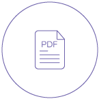 Database Recovery